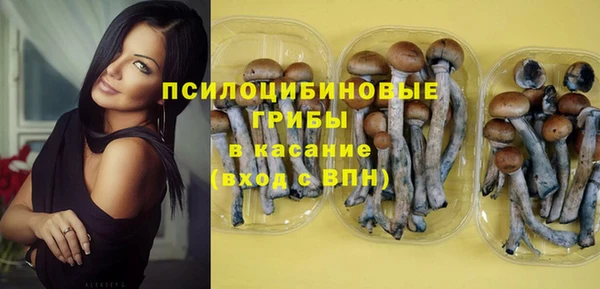PSILOCYBIN Надым